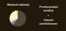 Náhled grafu mzdových nákladů
